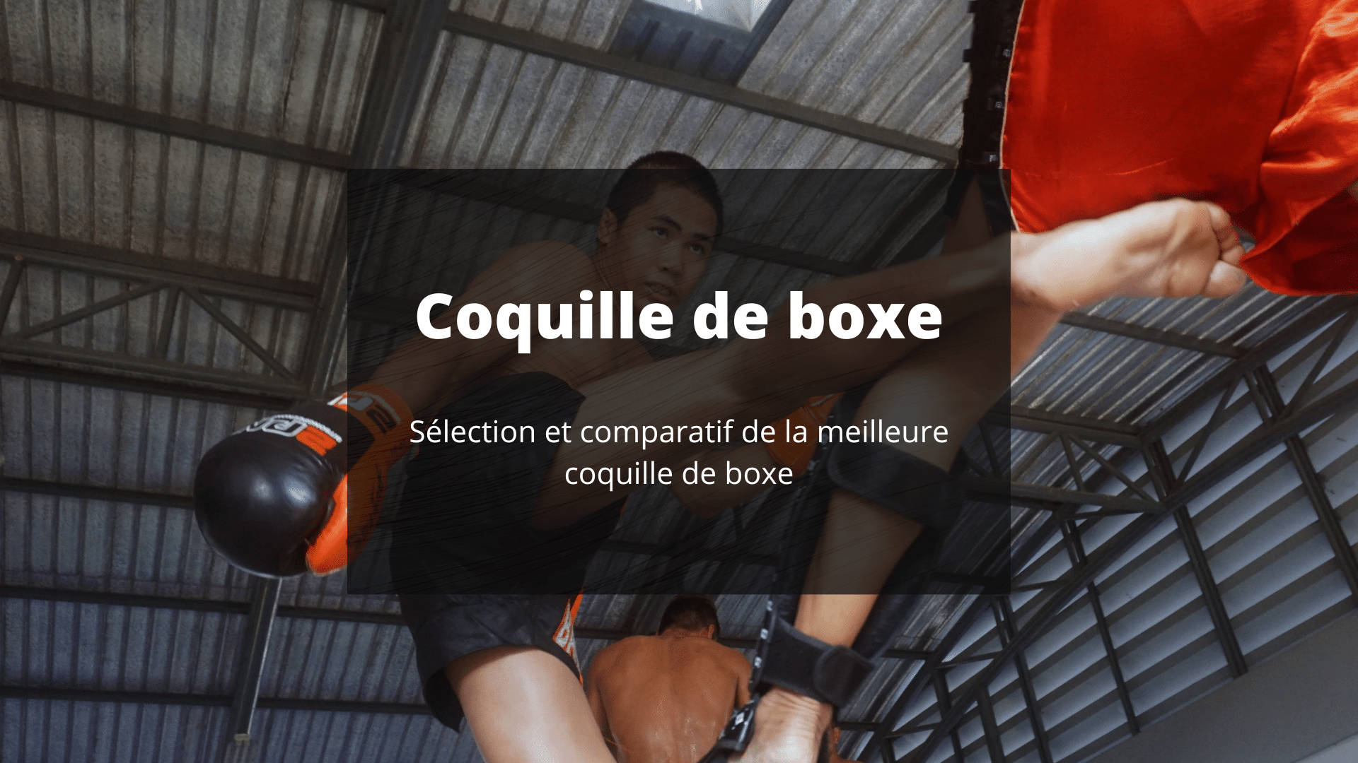 Coquille de Protection Boxe - Coquille Sport de Combat Homme/Femme