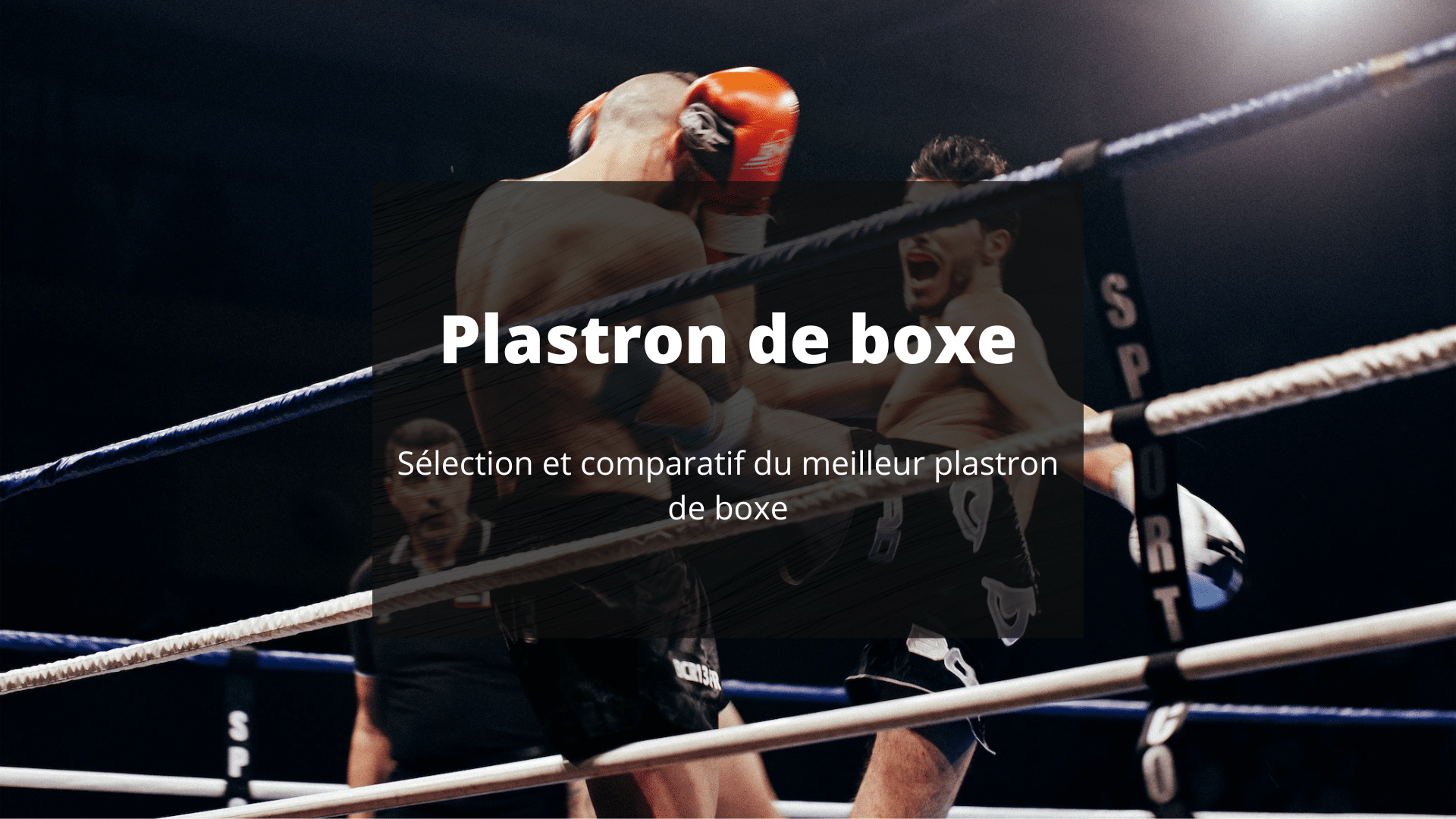 meilleur plastron boxe