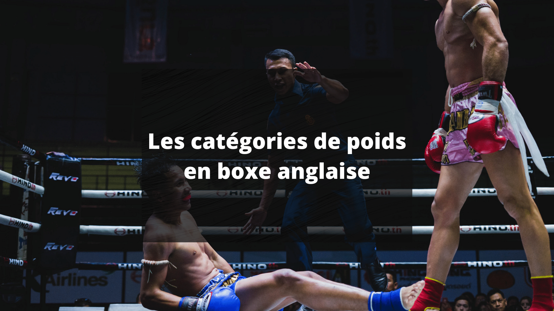 catégorie boxe anglaise