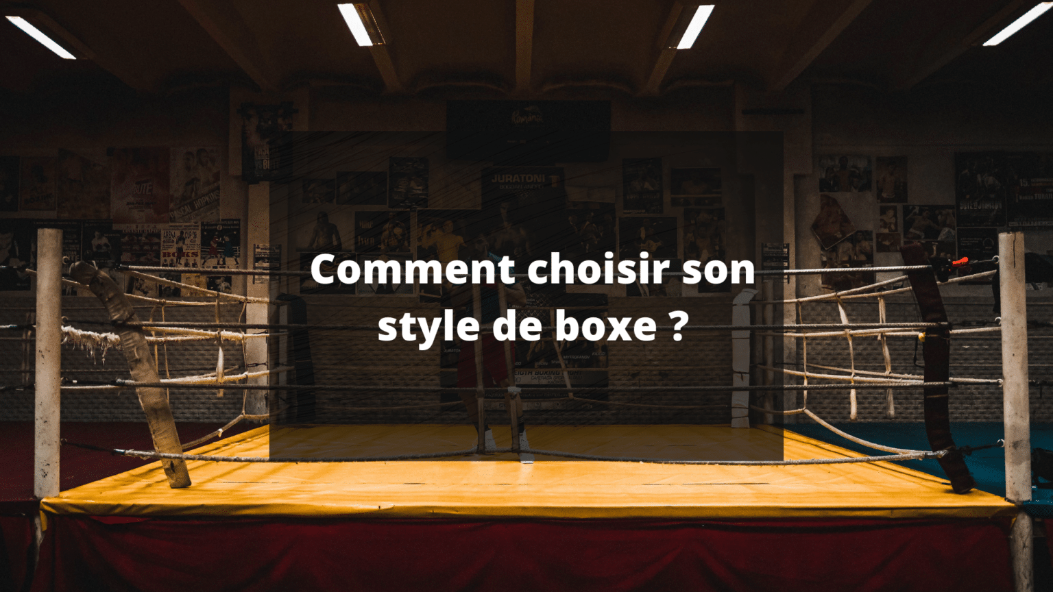 Comment choisir son style de boxe idéal