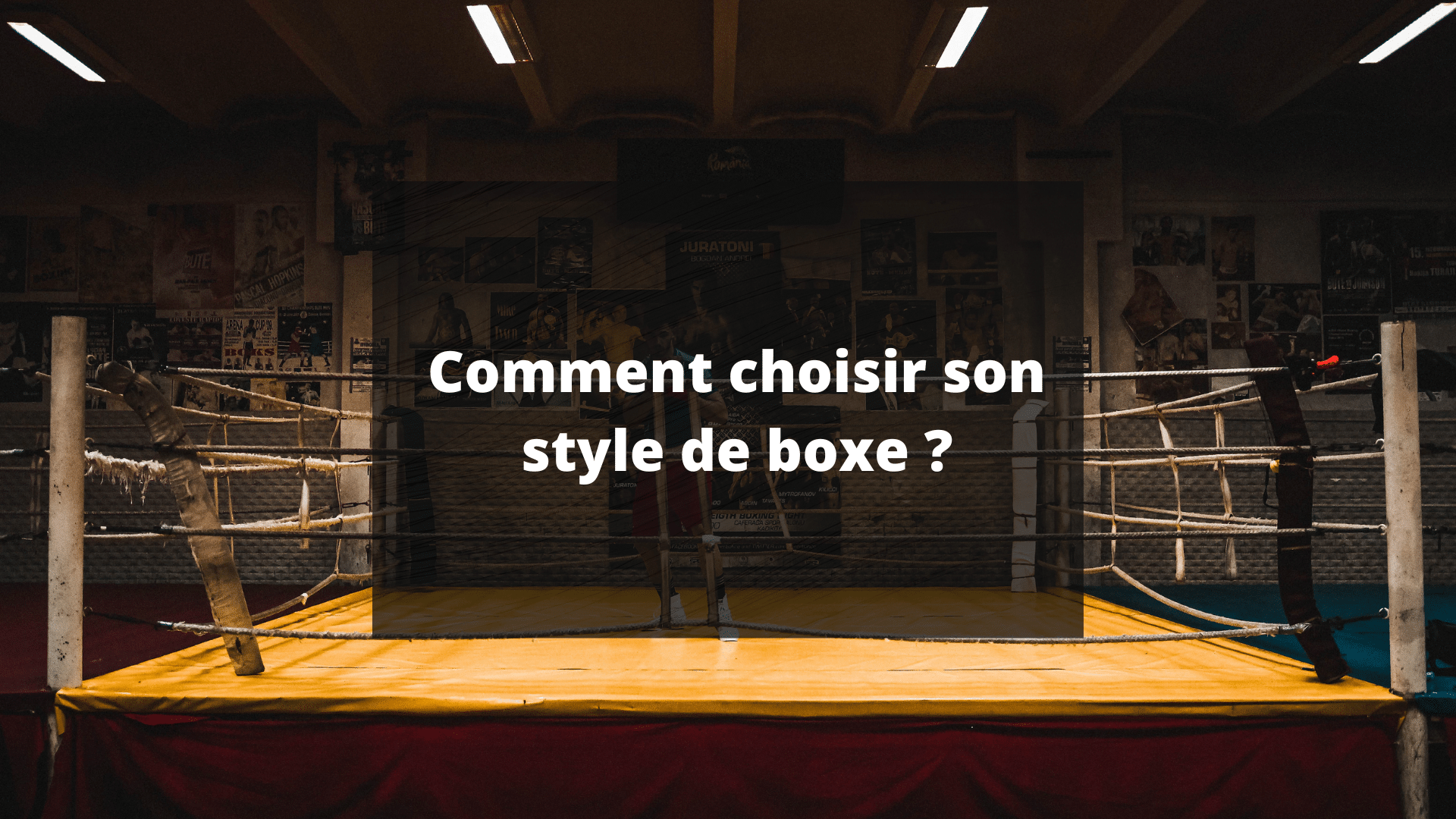 choisir style boxe