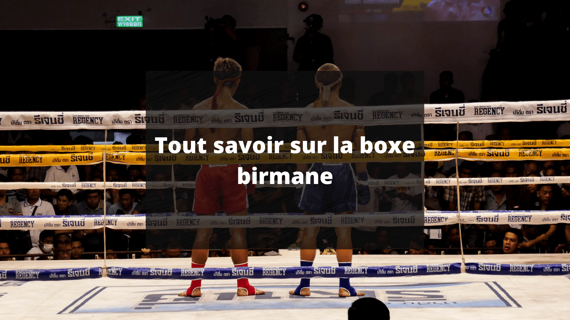 letwhei boxe birmane