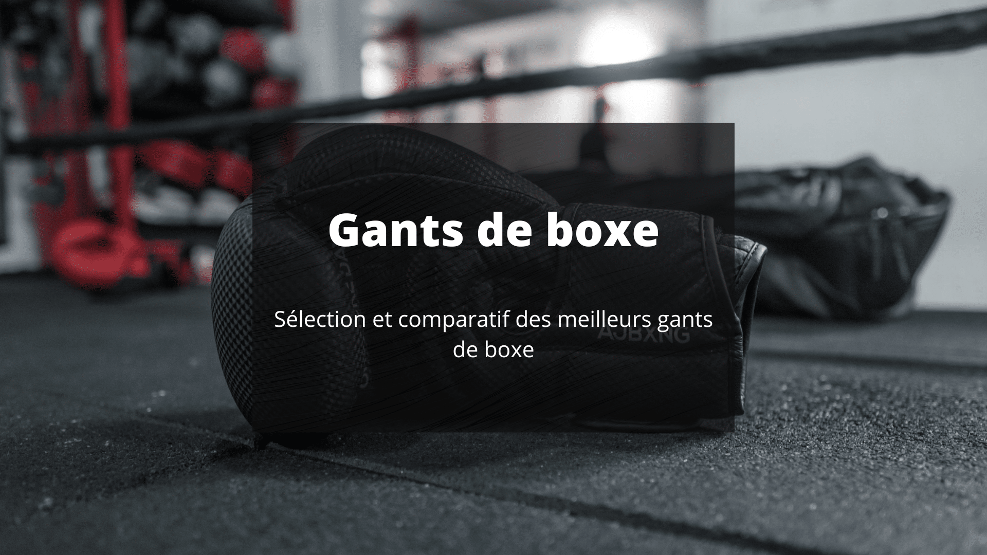 meilleurs gants boxe