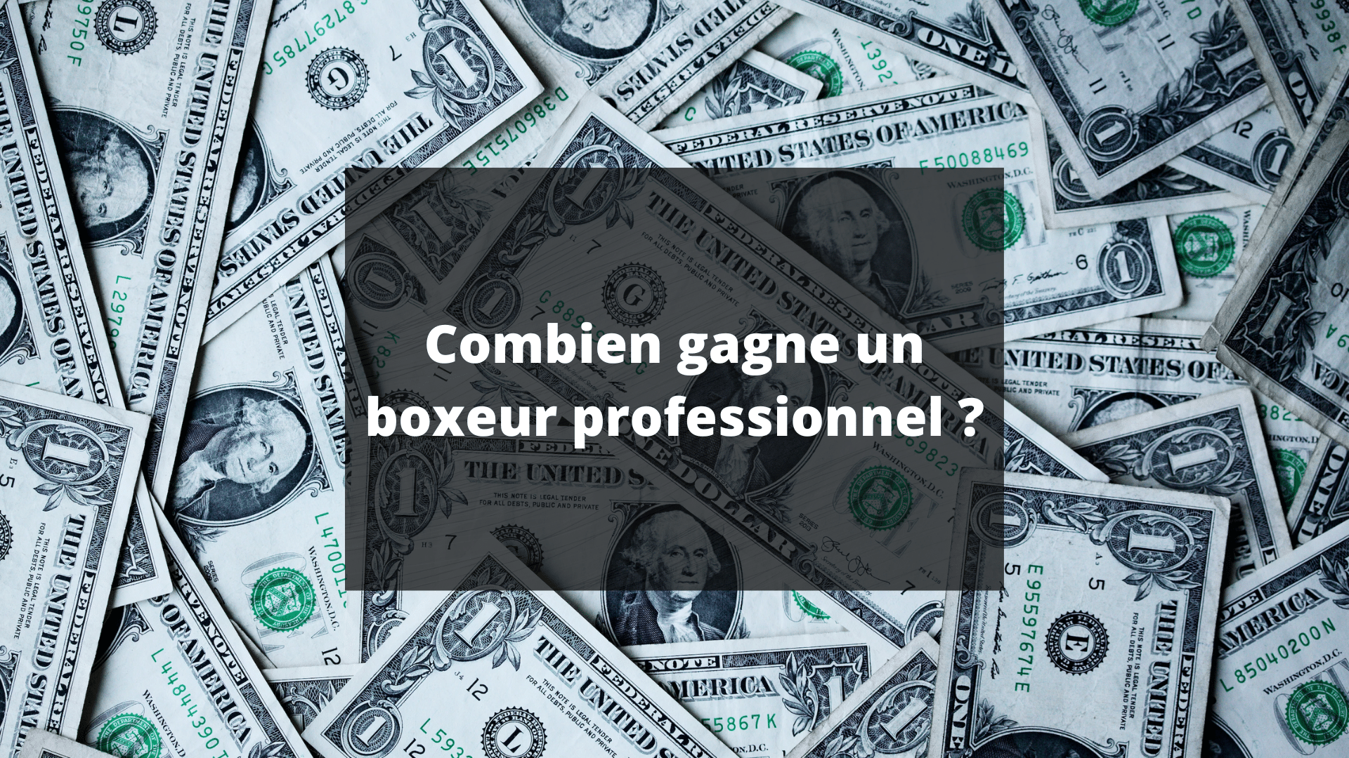 salaire boxeur professionnel