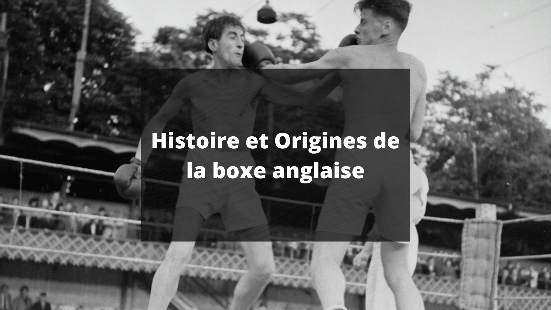 histoire origine boxe anglaise